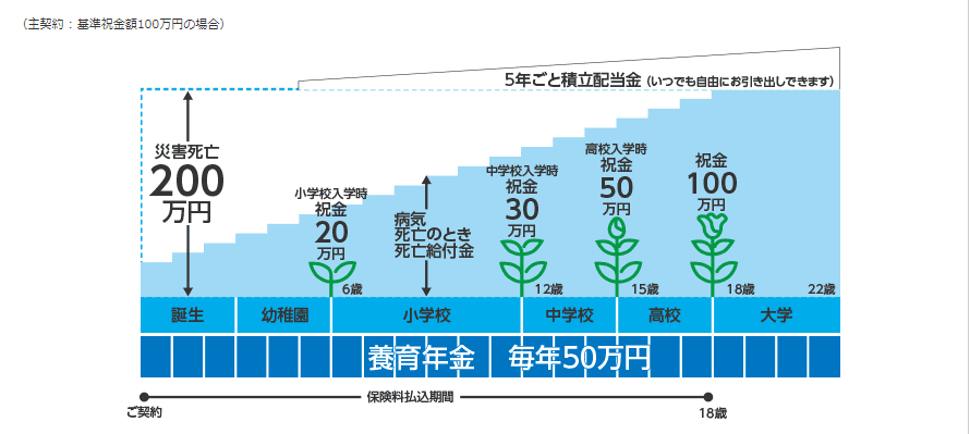 5年ごと利差配当付こども保険 - 東京海上日動あんしん生命保険